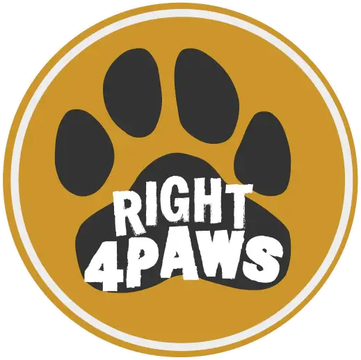 right4paws Logo